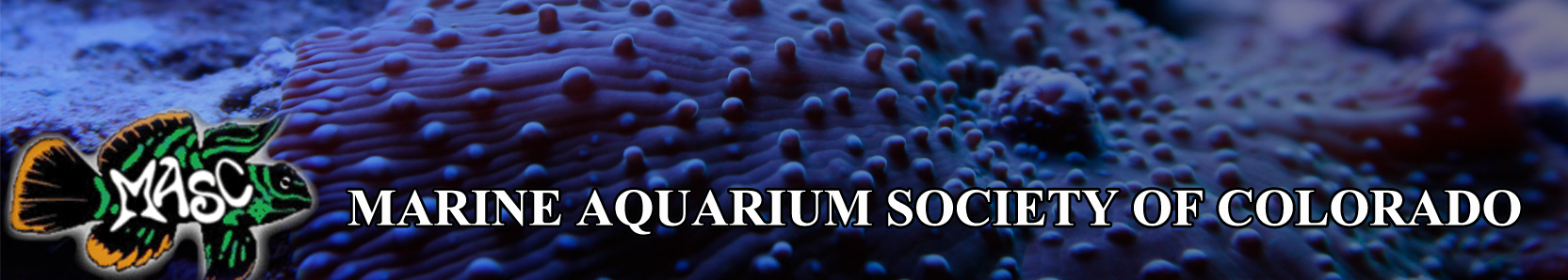 Marine Aquarium Society of Colorado