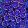 20250518_093832.jpg