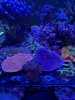 IMG_0190.JPEG