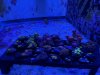 IMG_0187.JPEG