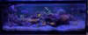 IMG_0180.JPEG