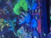 IMG_3540.jpeg