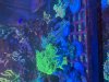 IMG_3542.jpeg