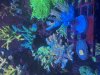 IMG_3539.jpeg