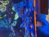 IMG_3538.jpeg