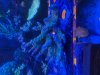 IMG_3536.jpeg