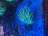 IMG_3547.jpeg
