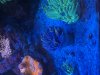 IMG_3546.jpeg