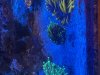 IMG_3549.jpeg