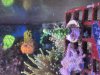 IMG_3765.jpeg
