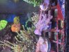 IMG_3764.jpeg