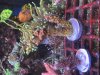 IMG_3762.jpeg