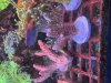 IMG_3761.jpeg
