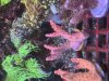 IMG_3760.jpeg