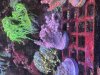 IMG_3758.jpeg