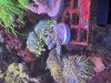 IMG_3757.jpeg