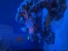 IMG_0180.jpeg