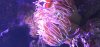 20250909_182734.jpg