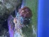 IMG_1842.jpeg