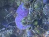 IMG_1851.jpeg