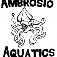 Ambrosio Aquatics